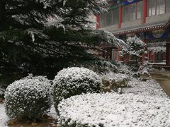 -大明幻境第一城