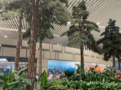 -青岛胶东国际机场