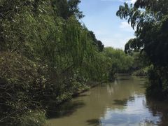 -同里国家湿地公园