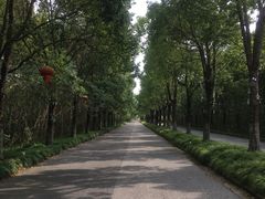 -上海海湾国家森林公园