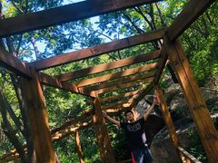 -大岭沟猕猴桃谷风景区