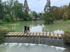 -桤木河湿地公园