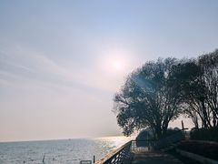 -贡湖湾湿地公园