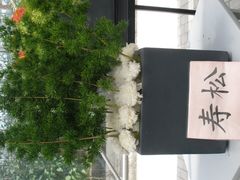 -上海鲜花港