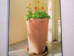 -常识咖啡common sense(春熙路店)