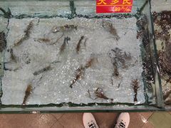 -海龙渔村(万江分店)