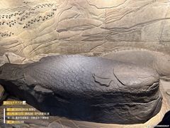 -白鹤梁水下博物馆