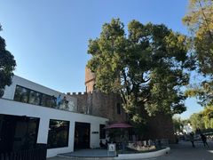 -J Create城市露营咖啡·简餐·宠物(上海动物园店)