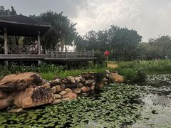 -海珠儿童公园