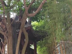 -龙潭水乡