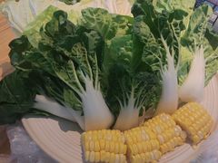 -滇铺子·云南特色菜·第九届野生菌美食节(东风东路c86店)