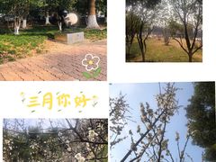 -中央公园(苏州工业园区)