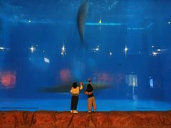 -华夏文旅海洋公园