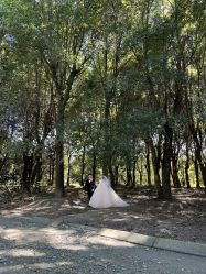 点击看大图 -帆拉斐婚纱摄影(春熙店)