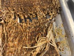 -清真·馬坡二旦烧烤(人生一串拍摄店)