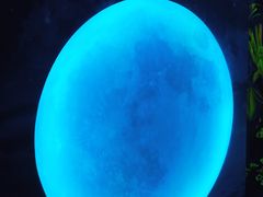 -天津梵高星空艺术馆(天河城旗舰店)