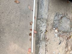 -长安马自达(上海交运起荣店)