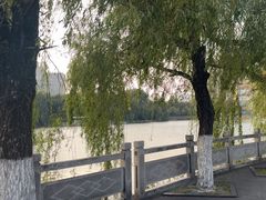 -凤池园