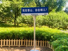 -香山公园