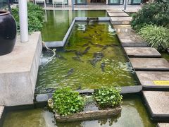 -大理老字号·舟渔的鱼野生菌海景餐厅(双廊店)