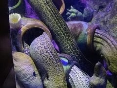 -太平洋海底世界