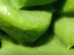 -GANSO元祖食品(白下店)