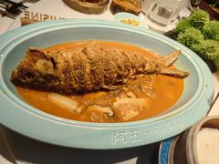 -阿五黄河大鲤鱼(英协路店)