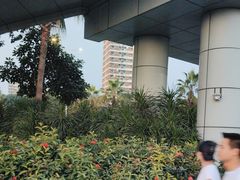 -宝安西湾红树林湿地公园