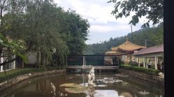 -爱帝宫月子中心(罗湖别墅院)