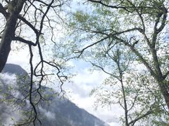 -叠溪松坪沟景区