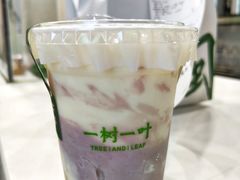 -一树一叶·福建茶档(石鼓路店)