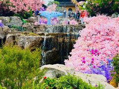 -茅山东方盐湖城景区