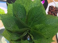 -韩味园果木炭烤鲜肉(陵东街店)