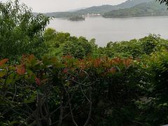 -天目湖涵田半山温泉