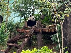 -栾川竹海野生动物园