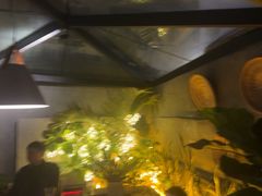 -宿醉·意大利餐厅(忠义街店)