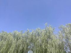 -井冈山风景名胜区