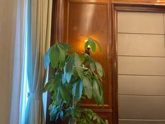 -梦都海鲜酒家(万达广场江桥店)