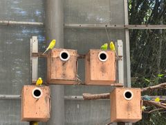 -厦门园林博览苑