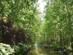 -合肥滨湖国家森林公园