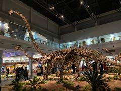 -自贡恐龙博物馆