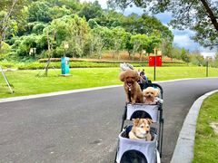 -东钱湖旅游度假区