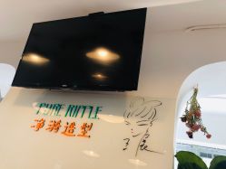 -净漪造型 PURE RIPPLE