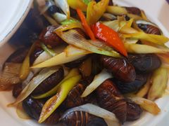 -韩记海鲜饺子(隆仁世家店)