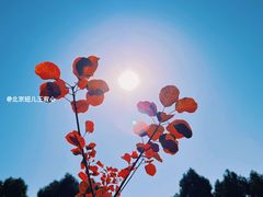 -北京上方山国家森林公园