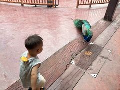 -长鹿旅游休博园
