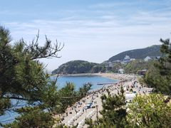 -棒棰岛宾馆景区
