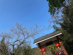-广州市白云山风景名胜区