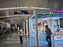 -石家庄正定国际机场-T2航站楼