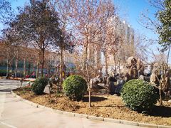 -花婆婆华德福幼儿园